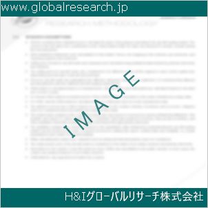 グローバルリサーチ調査資料のイメージ